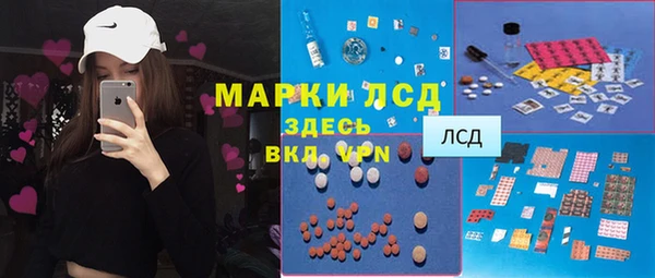 крисы Богородицк