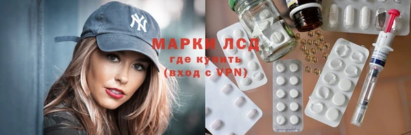 крисы Богородицк