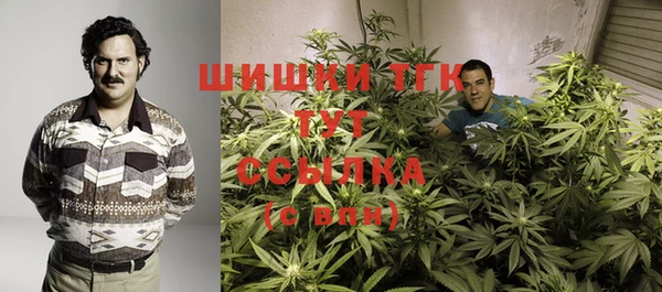 таблы Богданович
