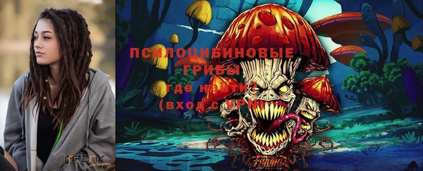 крисы Богородицк