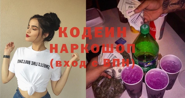 крисы Богородицк