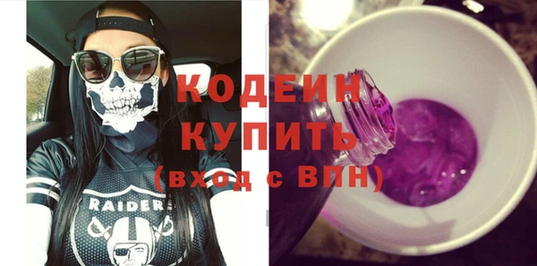 крисы Богородицк