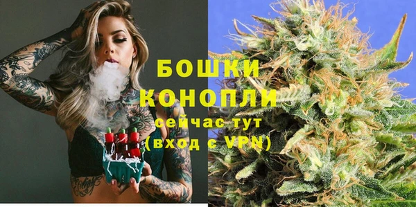 спиды Богородск
